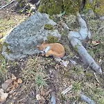 펜션 Casa Nel Bosco Sacco (Sondrio)
