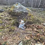 Casa Nel Bosco Sacco (Sondrio)