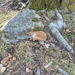 펜션 Casa Nel Bosco *