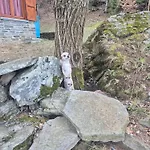 Casa Nel Bosco