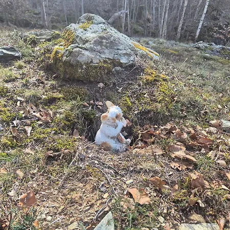 Casa Nel Bosco Sacco (Sondrio)