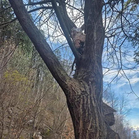 Casa Nel Bosco بيت للعطل *
